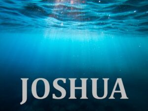 Link to Joshua Sermons