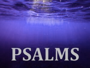 Link to Psalms Sermons