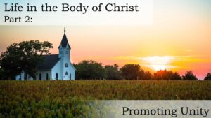 Life in the Body of Christ Part 2: Promoting Unity